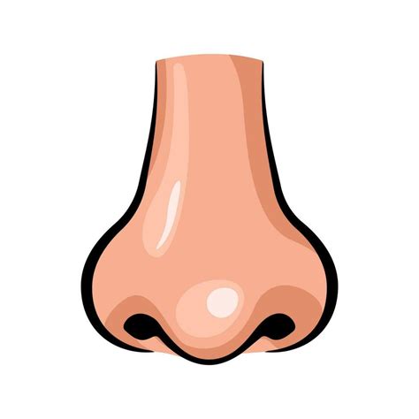 nose clipart